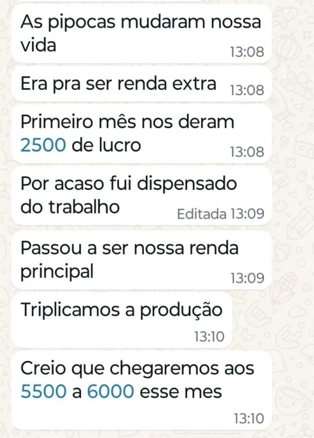 Print de mensagem contando que as pipocas começaram como renda extra e viraram renda principal